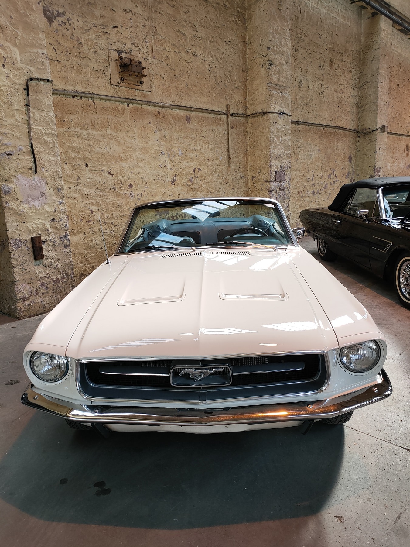 Ford Mustang 1965 V8 289ci  Achat & Prix - Voiture Collection - Sam's  Garage